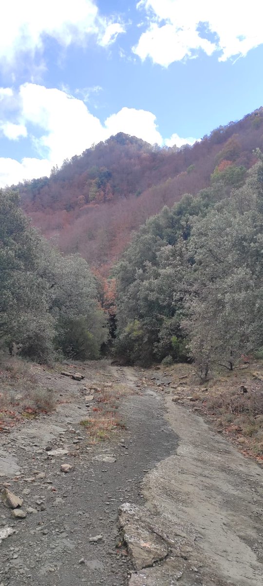 #pedraseca Jornada per a recuperar les Parets seques a l'entorn del bosc del glascà
<a href="/Anegarrotxa/">ANEGx</a> <a href="/ajmieres/">Ajuntament de Mieres</a>