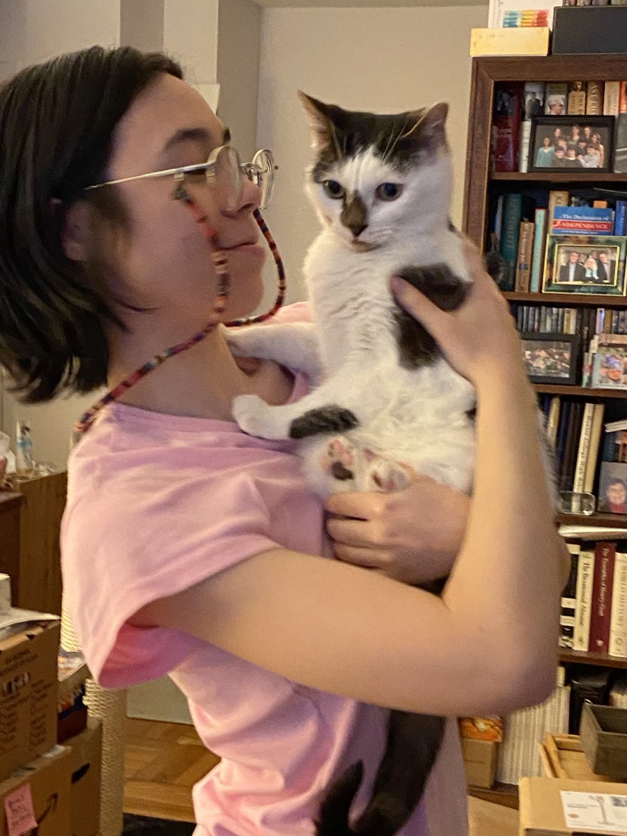 msmegalodon's tweet photo. it’s my 23rd birthday! please compliment my cat, mojo https://t.co/hFCnbtbj9N