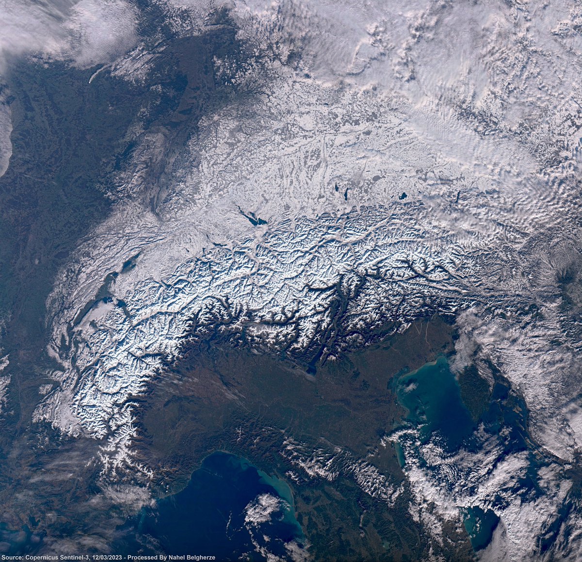 Nahel Belgherze tweet media