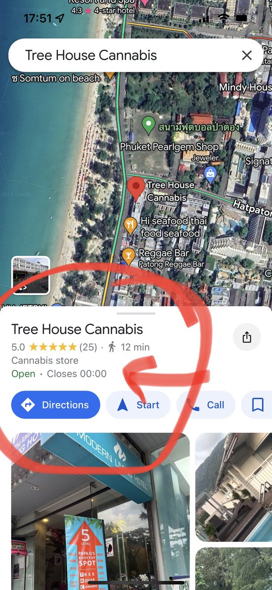 Cryptorah's tweet image. #rootop #cannabis  #bar #Phuket #thc #Thailand #treehouse #420friendly ❤️