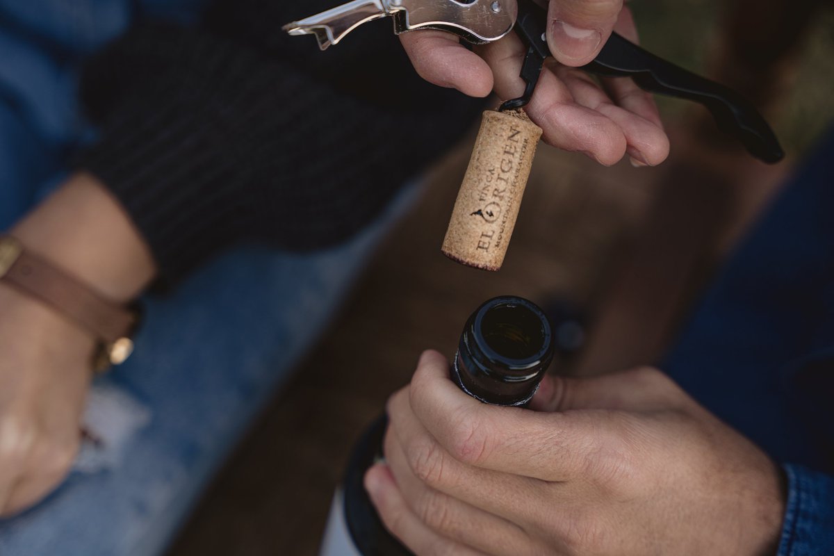 Hermoso día para descorchar un Finca El Origen

¿Hay algo mejor que abrir una botella de Finca El Origen en un día como este? Prepará tu copa y dejá que cada sorbo sea un brindis al buen gusto y momentos especiales. 🌞🥂

#FincaElOrigen #Mendoza #WineLovers