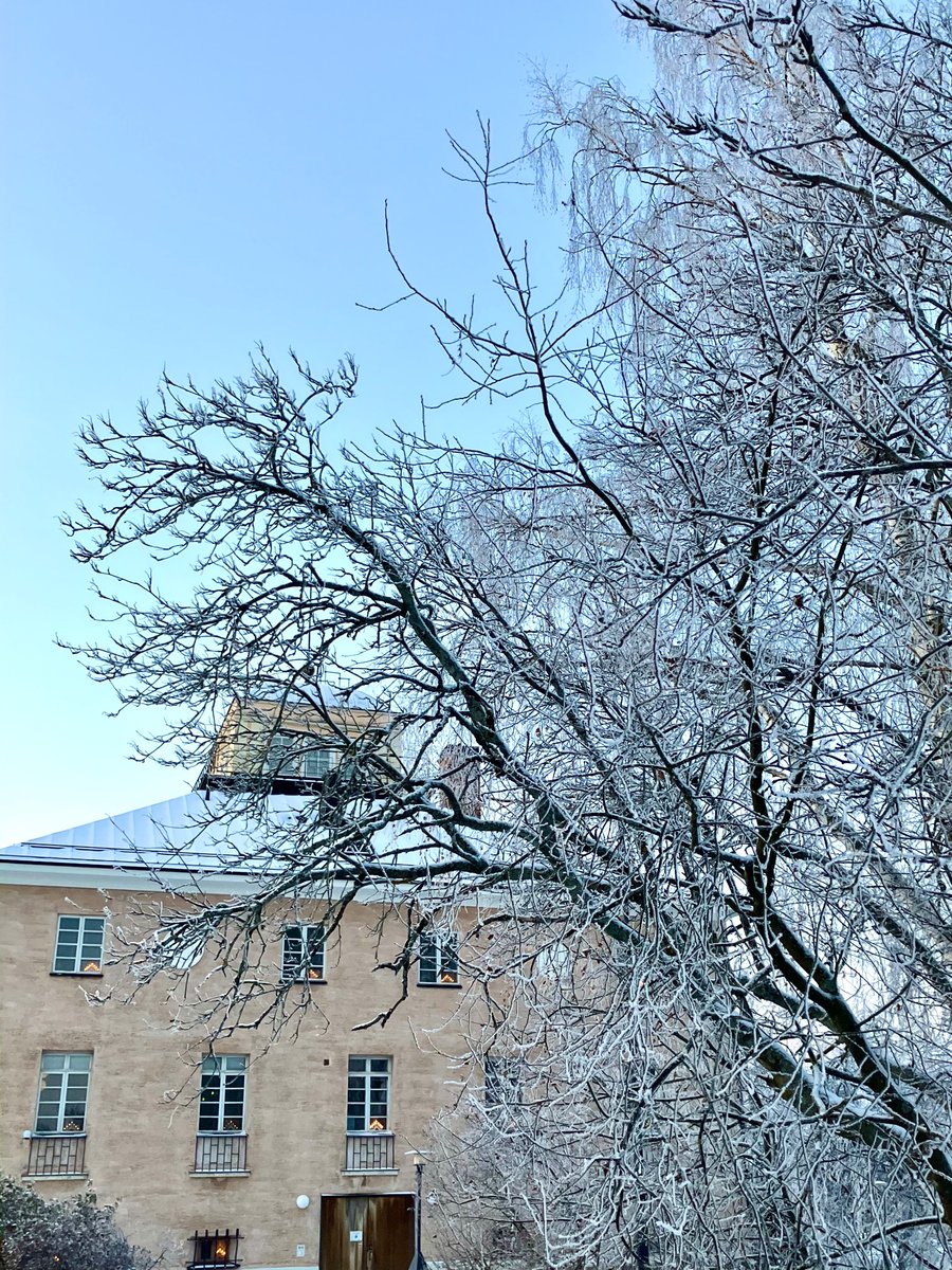 Henna Kosonen tweet media