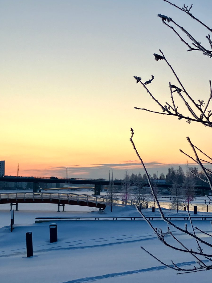 Henna Kosonen tweet media