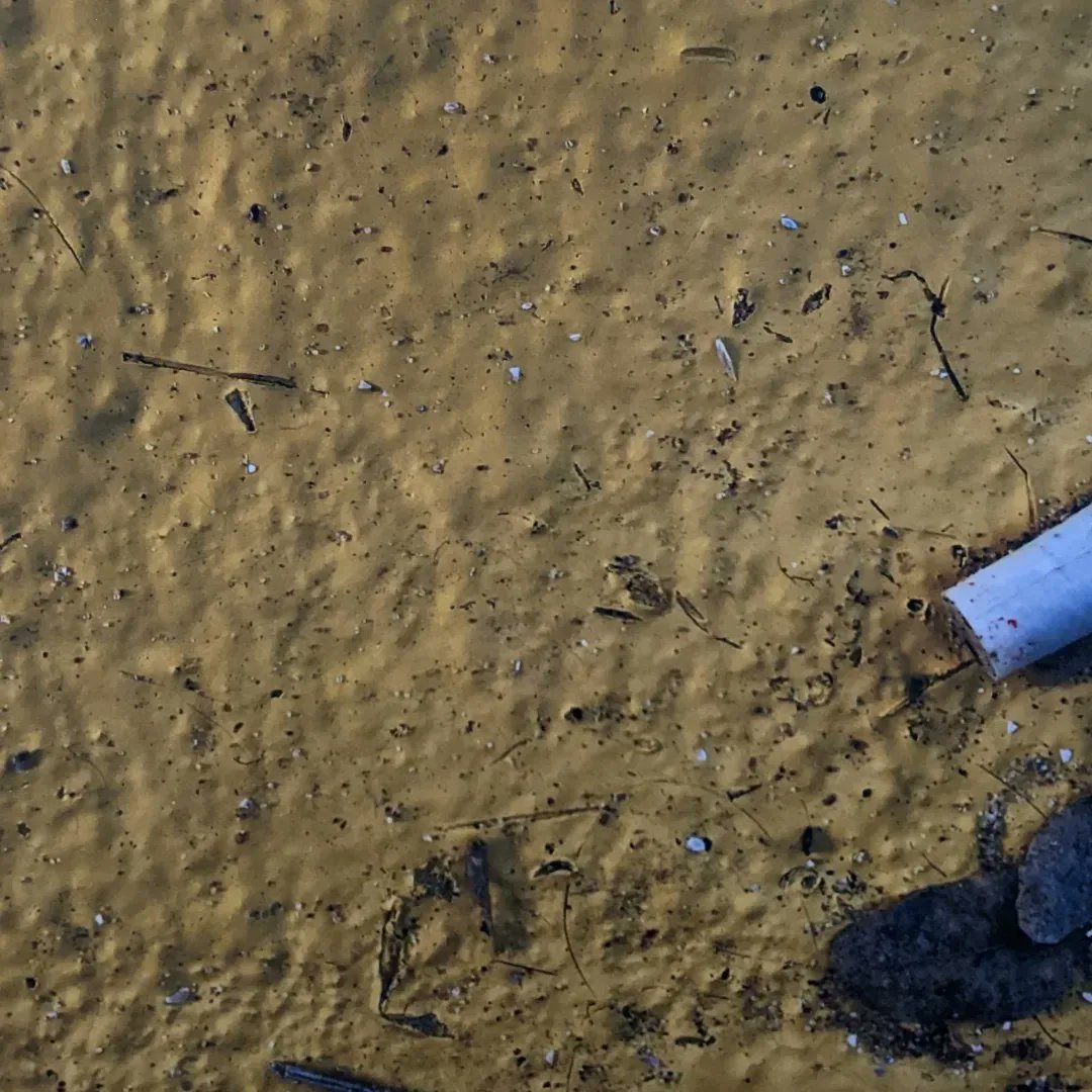 Some photos taken by our most recent #LoveWhereYouLive group of children down at Palm Bay beach in Cliftonville - great colours and close ups!