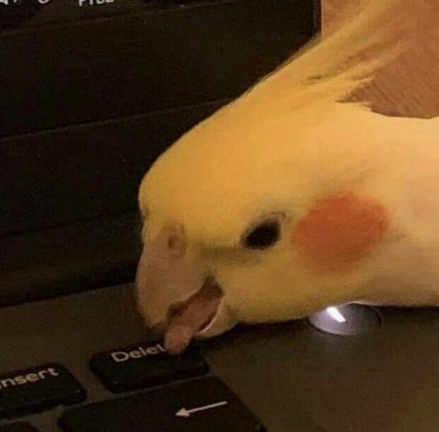 Out of Context Birds tweet media