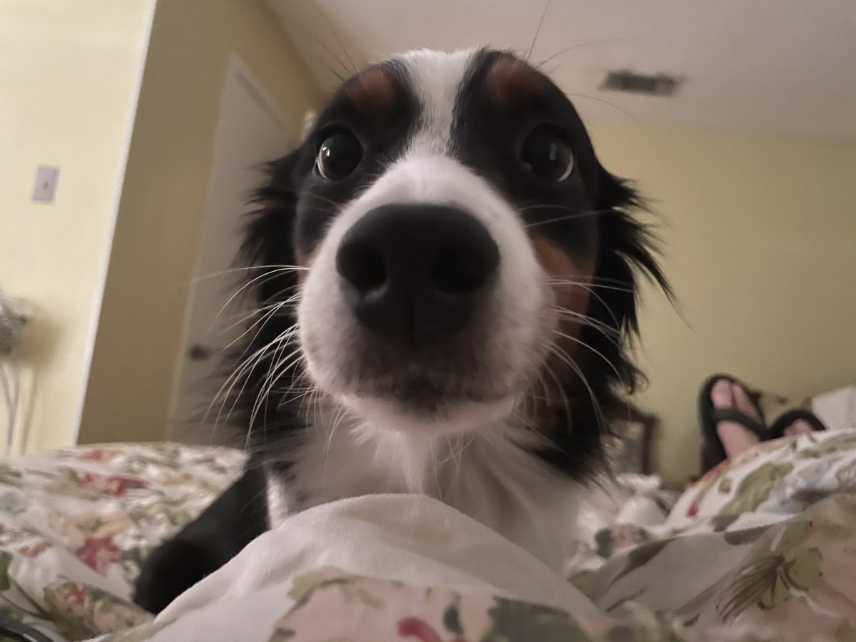 EDynamis4me's tweet image. 