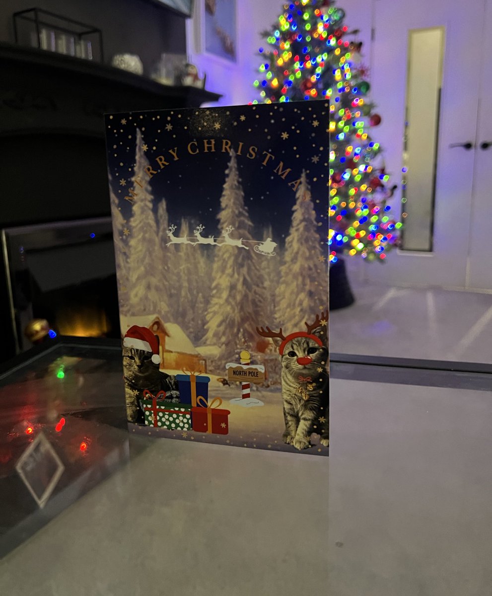 Nick_Sheps's tweet photo. Christmas tree up 🎄 
Lights up outside 🌟
Christmas cards written (with pics of Charlie and Capri 🐱) ✍🏻
The Santa Clause on 🎥

Christmas has HIT 💥 https://t.co/AvPxvs4FE7