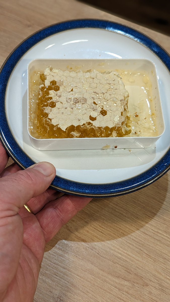 killianbyrne's tweet image. First time trying 'real' honeycomb and not impressed to be honest.

How is a person supposed to eat this without ending up with a large lump of beeswax stuck in your teeth? #AskTwitter