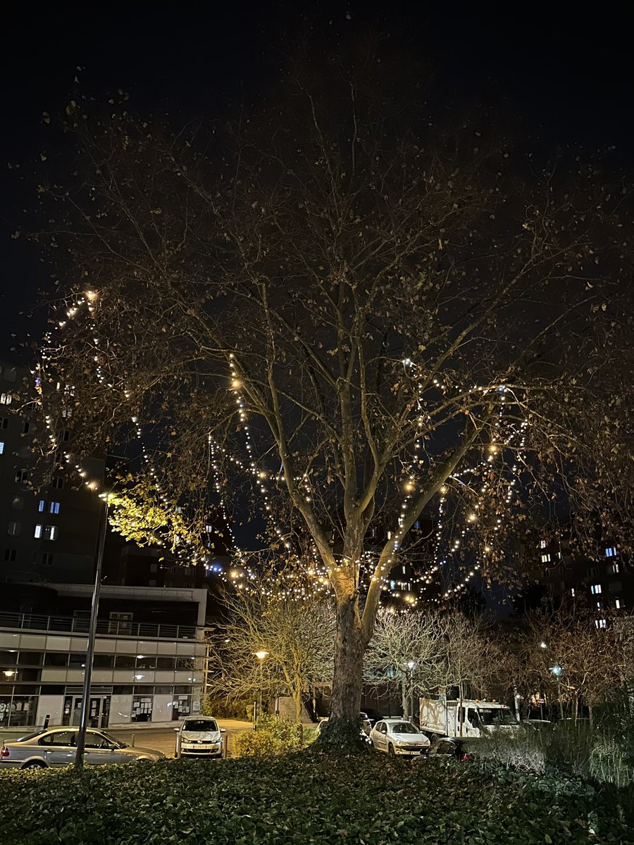 HakimSoltani's tweet photo. Bonjour @DailyJeanClaud1 ! Nous avons habillé de lumières ta petite sœur Marie-Noëlle pour les fêtes. 

Elle n’est pas encore aussi brillante que toi mais c’est un bon début 🎄 https://t.co/O6ghOU1YzN