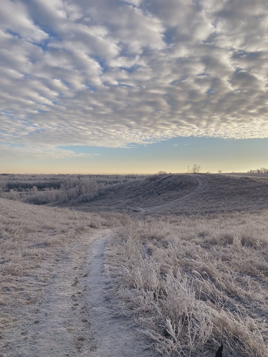 beamr_x's tweet photo. Gm 🌞❄️

#TouchSnow https://t.co/wmlc7rdUuU