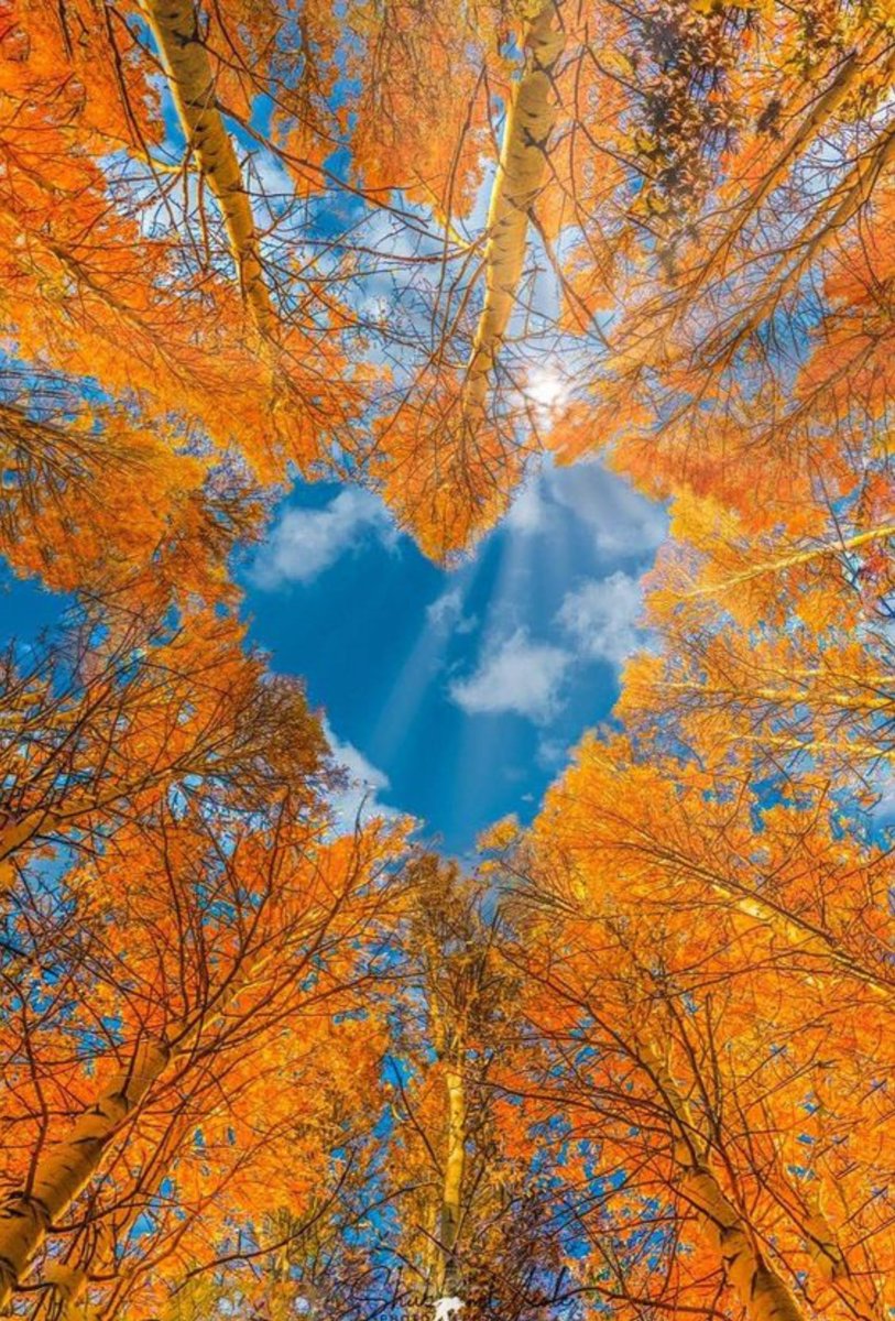 ❦Perspective is 50% observation and 50% imagination. ~Anne Scottlin  
#AuthorsOfTwitter #imagination #quote #perspective #LiveForJoy #Book amzn.to/3rvsOTg