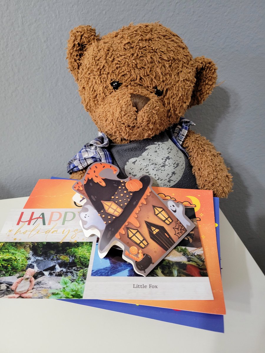 BearyGoodBlog's tweet photo. Lucky me! I got a another haul of fun mail! No bills
#penpal #snailmail #mail #usps #postcards #mailbox

https://t.co/Q9iZE9VtsI https://t.co/sk6ODSglGC