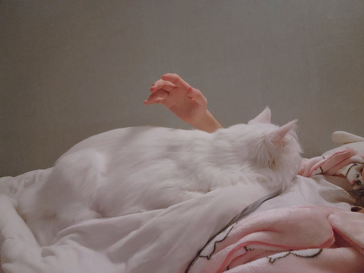 병철이가.내몸위에올라와서.꾹국이해주다가. 잠듬.
세상천하가내것이다.