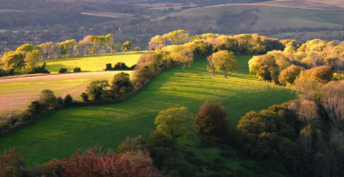 A few moments of autumn light. #southdowns