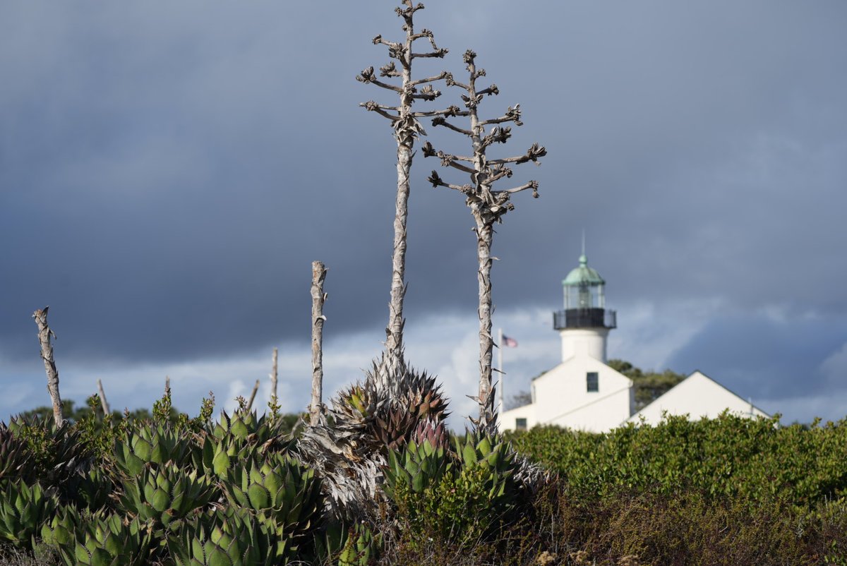 Cabrillo National Monument tweet media