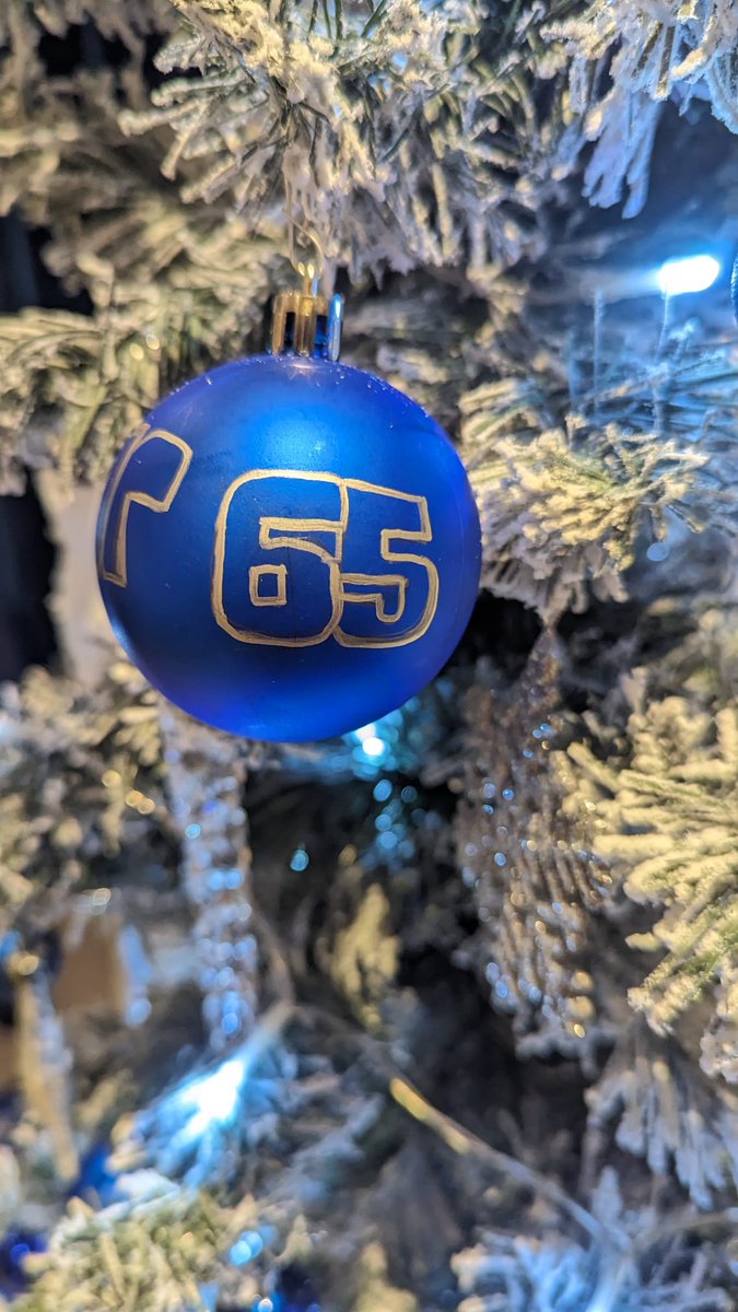 We put the Christmas Tree up today. We decided on a @YamahaRacingUK @PataYamahaWSBK theme this year, with some added penguins 🐧 my mum made me a @jonathanrea bauble too 😄 #Christmas2023 #Team65 #YamahaRacing #WeR1 #RevsYourHeaŕt