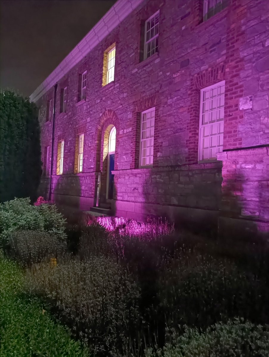 Today, we mark UN International Day for Persons with Disabilities, by lighting up Garda Headquarters as buildings across Ireland turn purple to show solidarity with those living with disabilities. #PurpleLights23