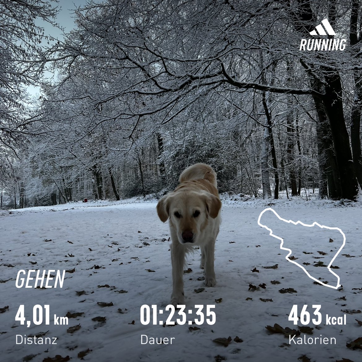 1st Advent Walk. 🕯️