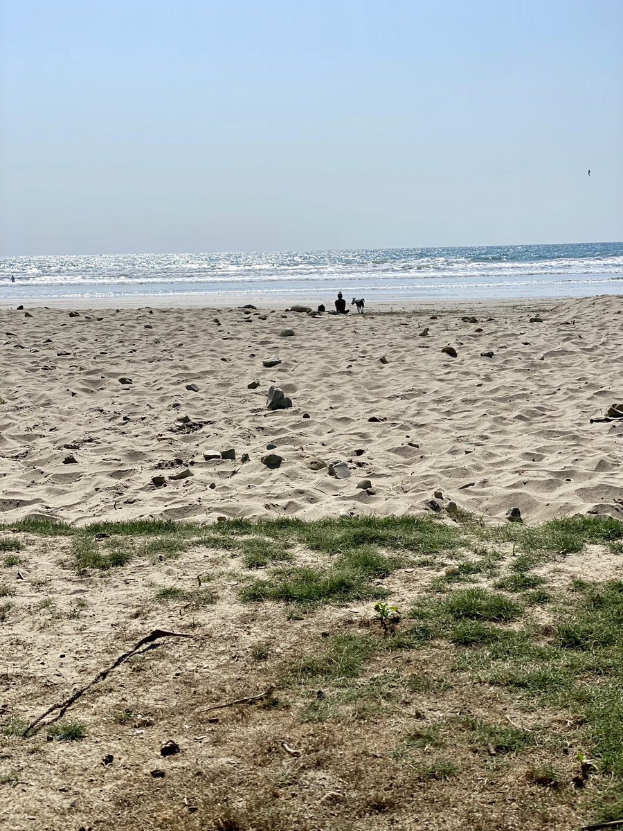 ViajaLaVida's tweet photo. Si amanece un poco nublado en la playa, es buen plan sentarse en una cafetería; y si después sale el sol, no queda más que cruzar a la arena 😃 https://t.co/PyQkdDMfby