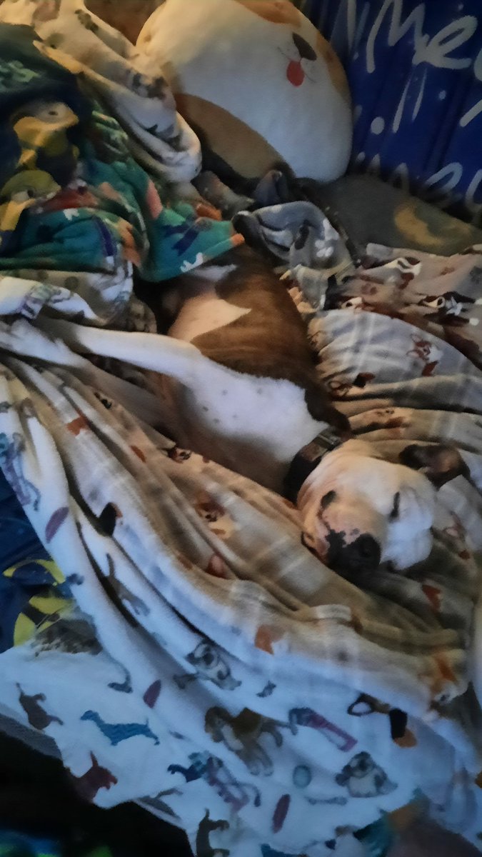 Jen Vollink Tyler tweet media