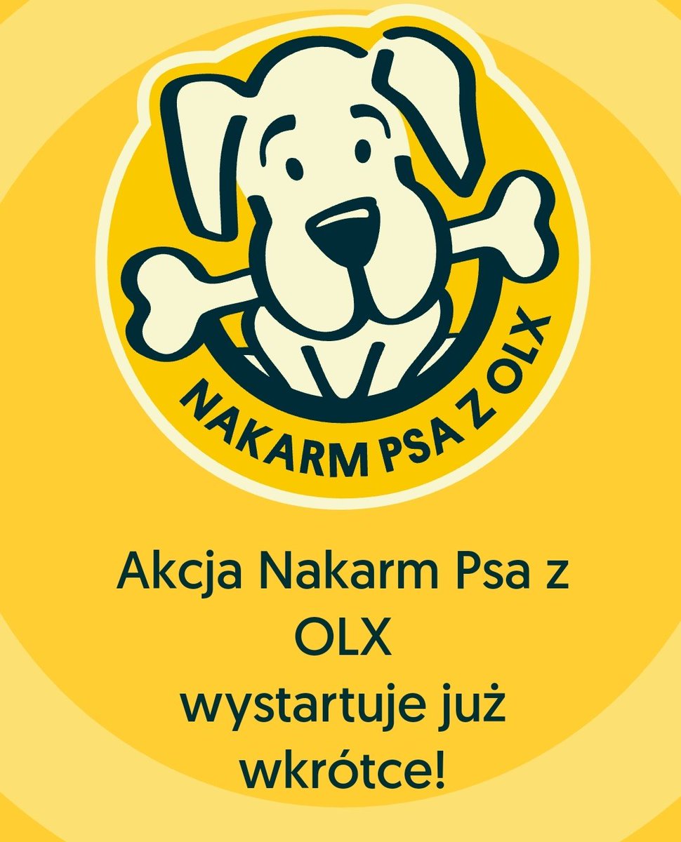 oopsmypayno's tweet photo. Akcja, której nie mogę się doczekać jak co roku: https://t.co/QM0Bfd91QI