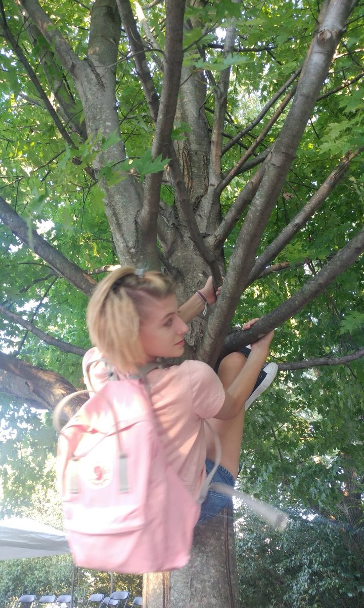 16 y/o me in a tree 👍