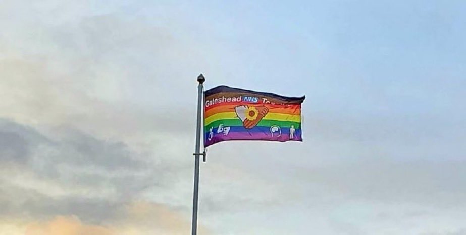 🌻D-Ability Staff Network🌻 tweet media