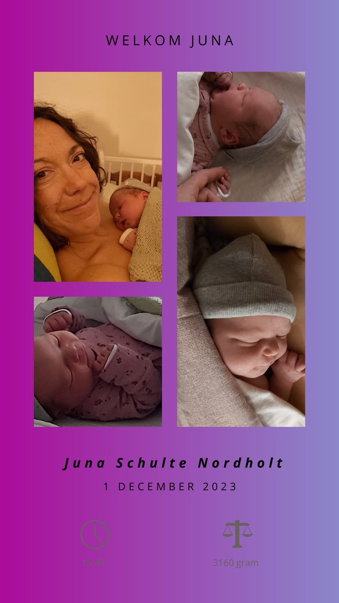 Maaike Veeningen tweet media