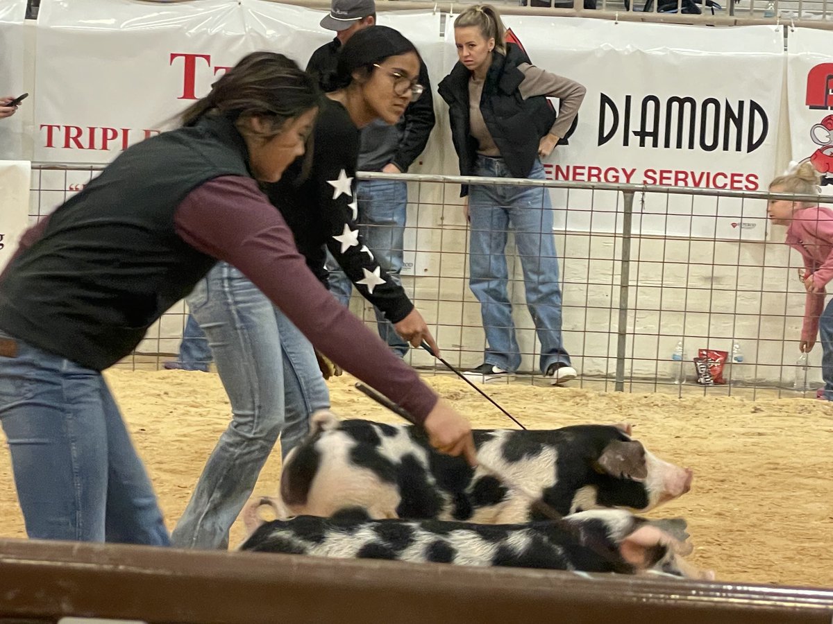 Dr. Stephanie Howard tweet media