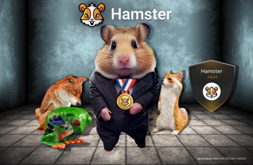 햄스터 공주🐹 tweet media