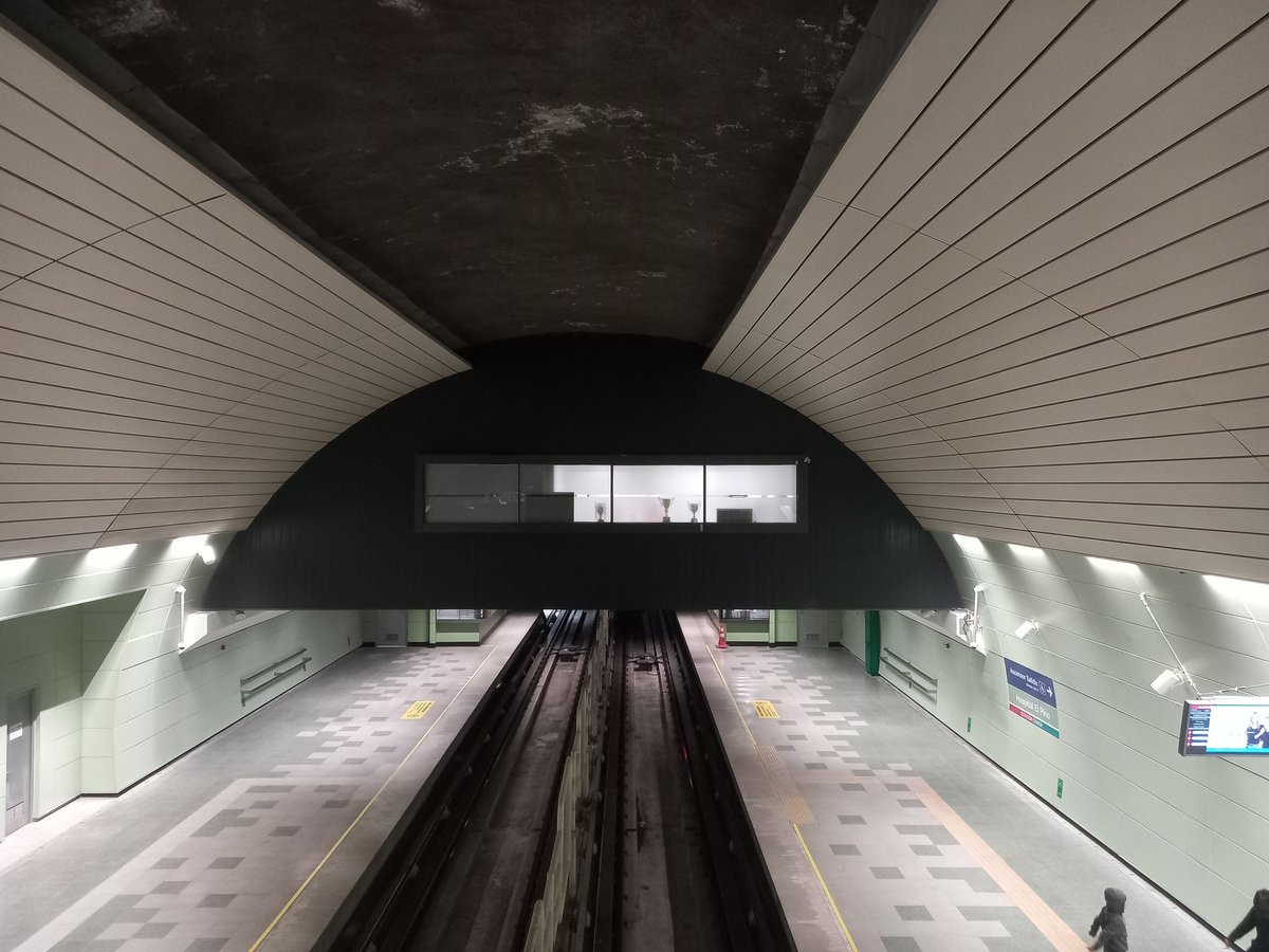 アレハンドロ tweet media