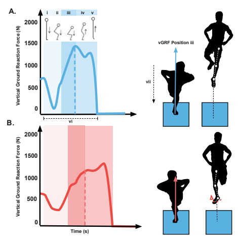 JordanStrength's tweet photo. Here's a recent paper from our lab w/ lots of collaborations. @enda_king + crew at @Aspetar asked us to write a piece on the importance of explosive strength after ACLR. 

We review testing methods for explosive strength (RFD) and SSC mechanics

https://t.co/r0YpJMsIXi https://t.co/awSJYZBdGh