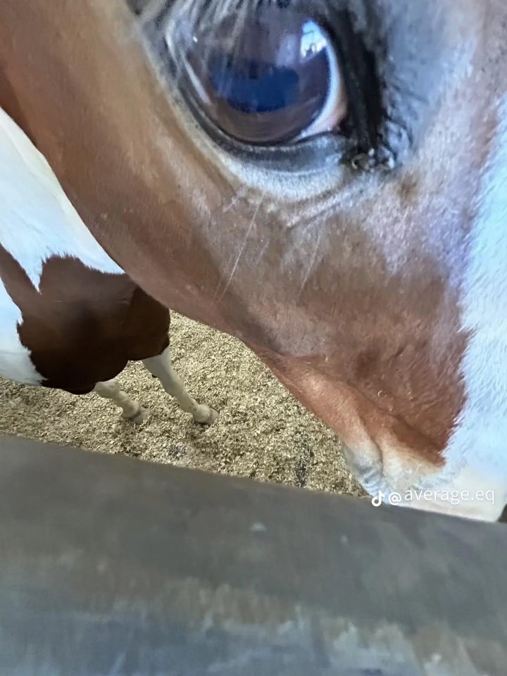 Have u snuck out of heaven yet