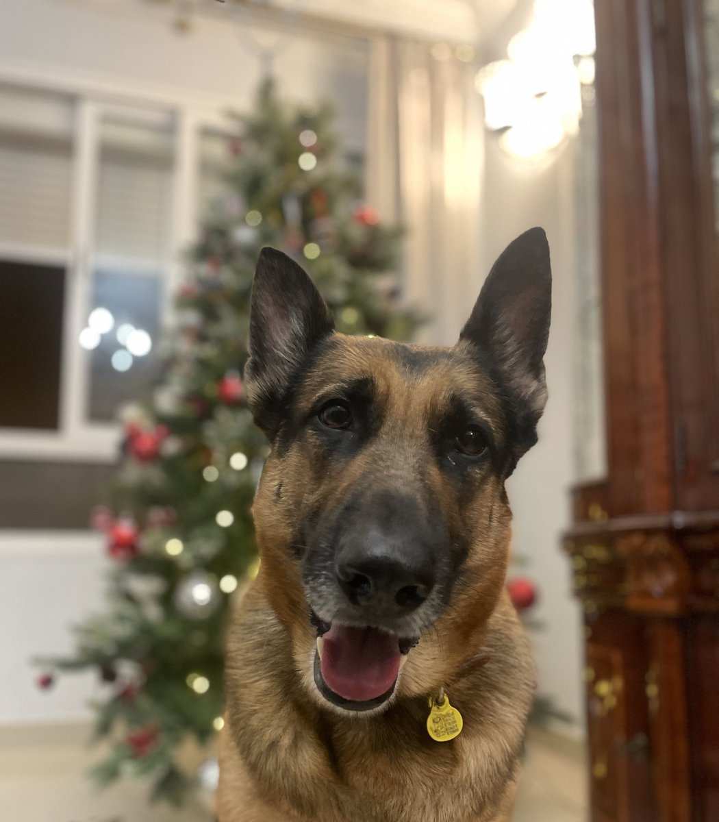 Mi época del año favorita 😍🎄