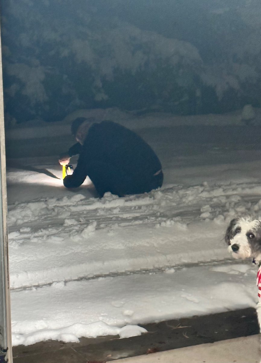 Momarazzi. tweet media