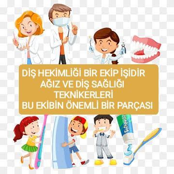 Berivan21162375's tweet photo. @drfahrettinkoca Ağız ve diş sağlığı teknikerleri atama bekliyor sayın bakanım @drfahrettinkoca https://t.co/xpWhlQpyKZ