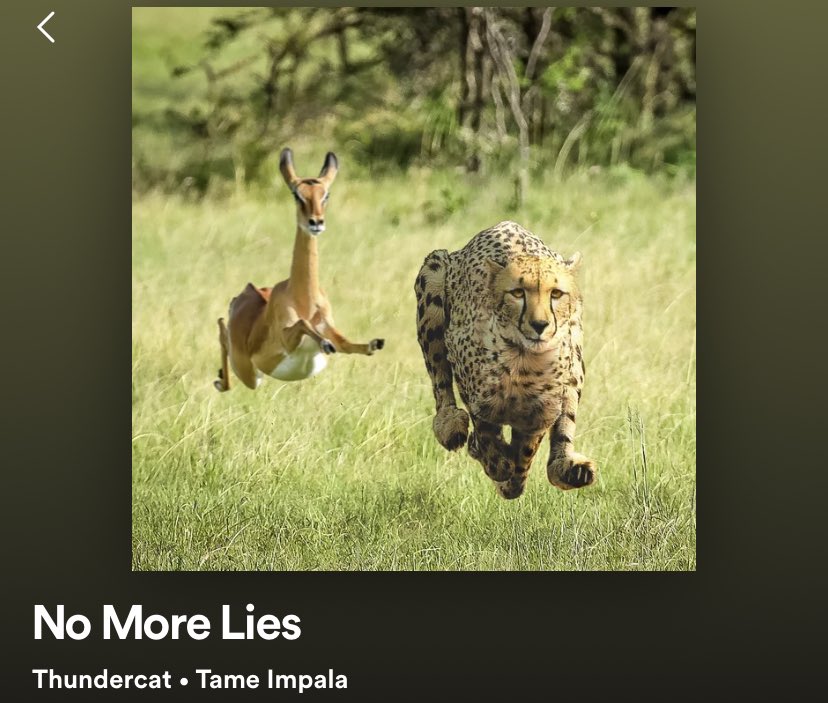 Prof_Hanss's tweet photo. I knew I’d seen this somewhere before 🧐 https://t.co/oLBo5ZPRWa