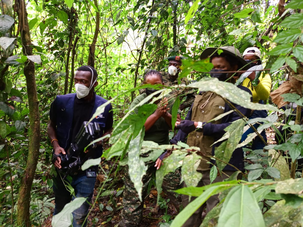 AfricaTembelea's tweet photo. #WalkingWithGorillas CTPH Patron, Her Royal Highness, Sylvia Nagginda, Nnaabagereka of Buganda has today [December 3, 2023] tracked mountain gorillas 🦍 of Bwindi Impenetrable Forest National Park, 18 years after her first tracking.

#CTPHAt20 #MountainGorilla #Trekking https://t.co/xiECOgigDH