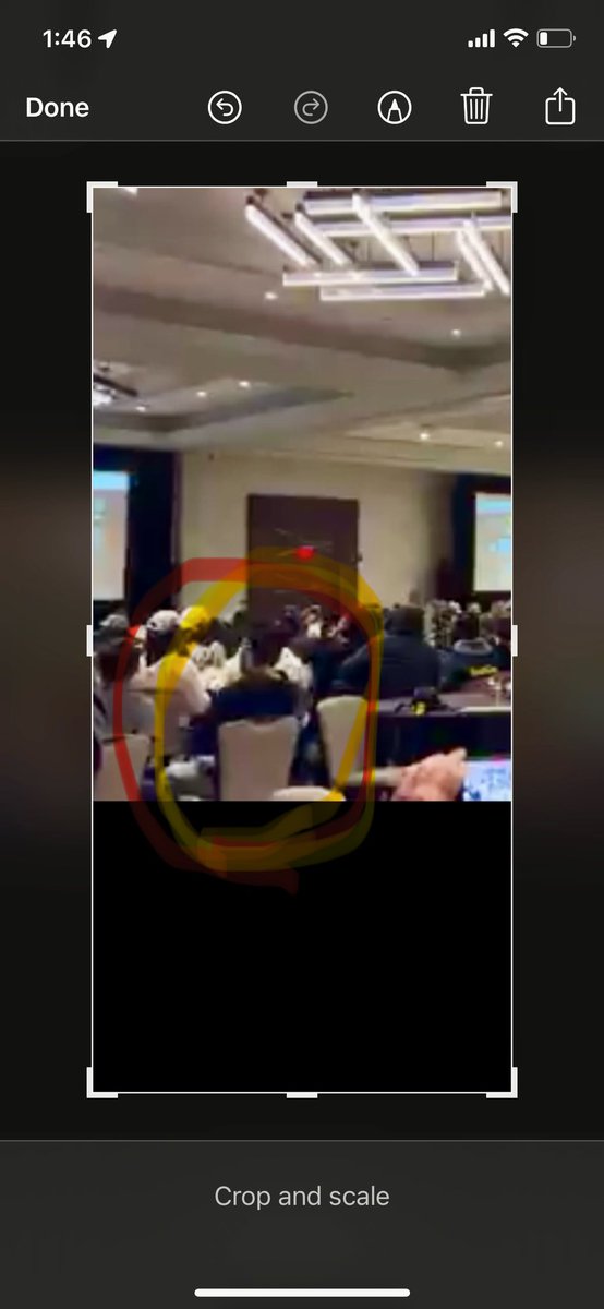 James Ziegler tweet media