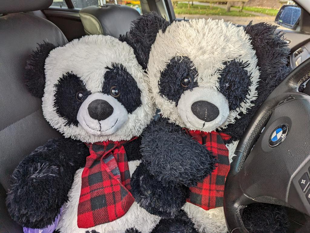Mummy_Punda's tweet photo. My twin brother came over today 🐼🐼 https://t.co/tgcqSdc7ux
