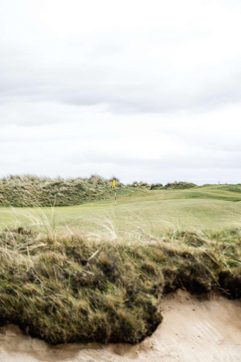 Western_Gailes's tweet photo. Pure links golf. https://t.co/ZeB1djcpNI