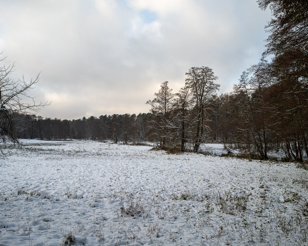 glenpearsonIMOM's tweet photo. Early morning Sunday walk in Brandenburg. https://t.co/K2bwJBnwAL