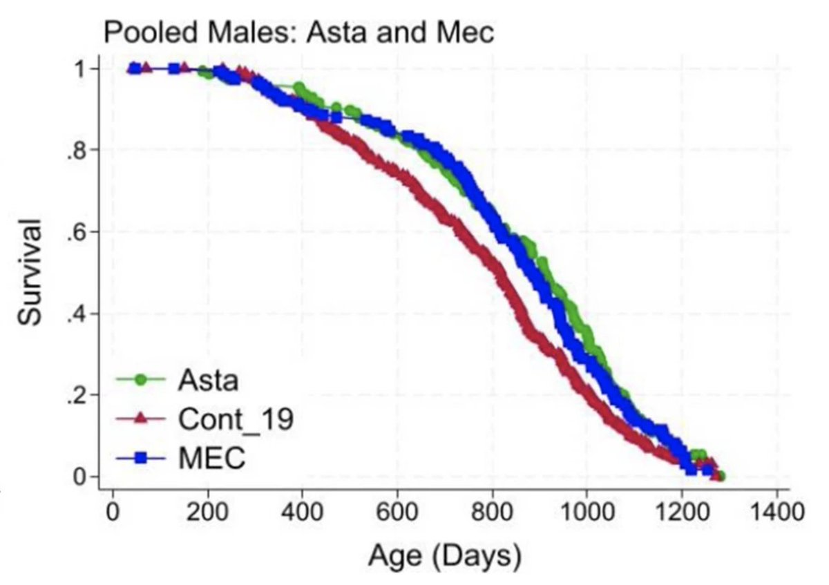 Major Lifespan News!

From the Interventions Testing Program (mice):
- Nrf2 activator astaxanthin extended the median male lifespan by 12%
- Meclizine, an mTORC1 inhibitor, extended the male lifespan by 8%

Video coming shortly
link.springer.com/article/10.100…