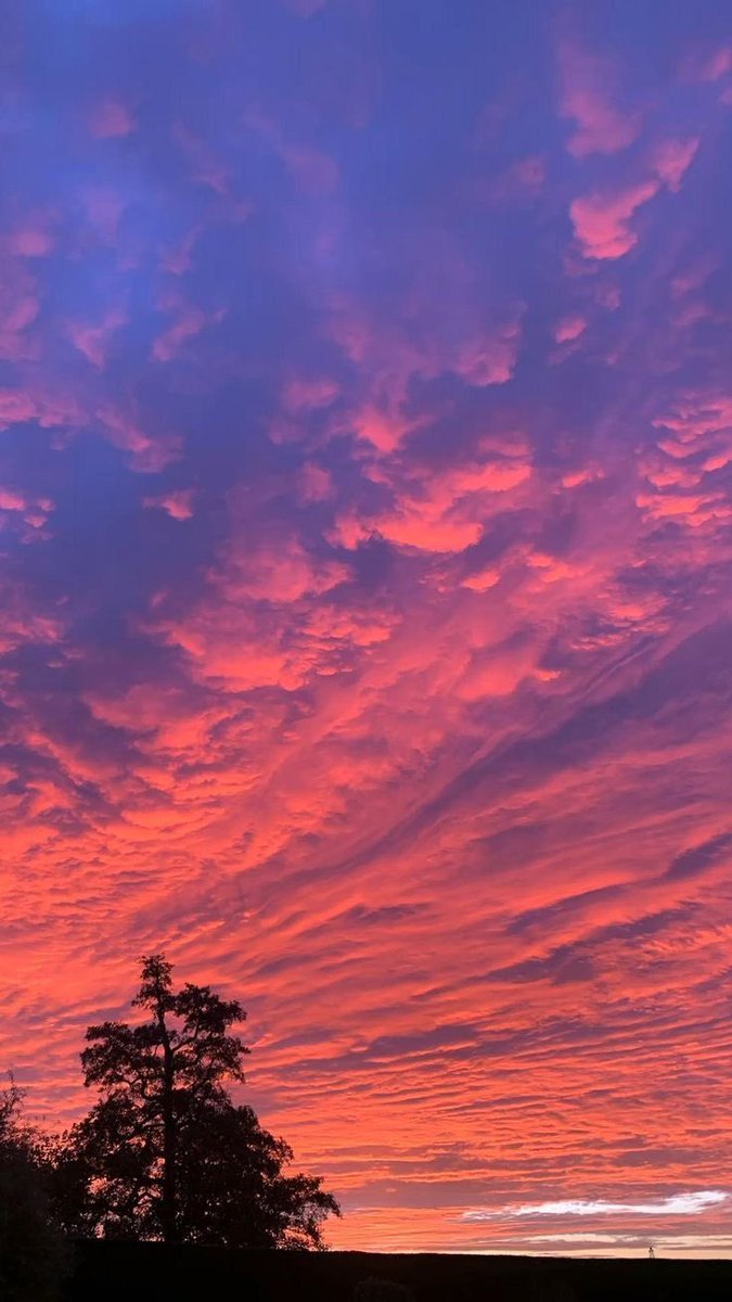 Informa Cosmos tweet media