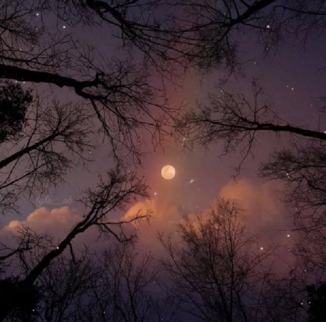 M1ONLOVER's tweet image. Full moon on starry night.