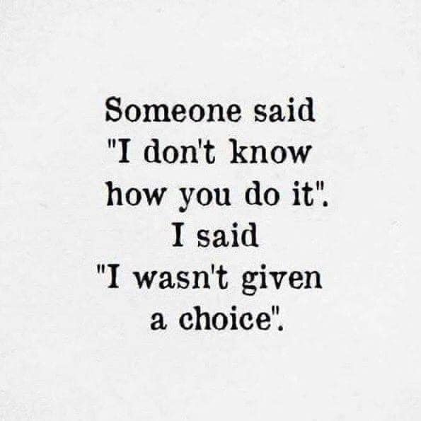 Academy of Grief tweet media