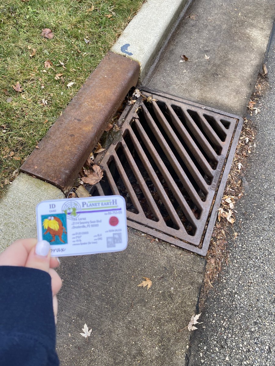 audreyAPES's tweet photo. Franklin is an example of a separated sewer system. In a separated system, storm water goes to local waterways so it’s important to make sure things like fertilizer and other harmful chemicals are not getting into our storm drains. @franklinlorax #apeswater https://t.co/OCeKHOUnsd