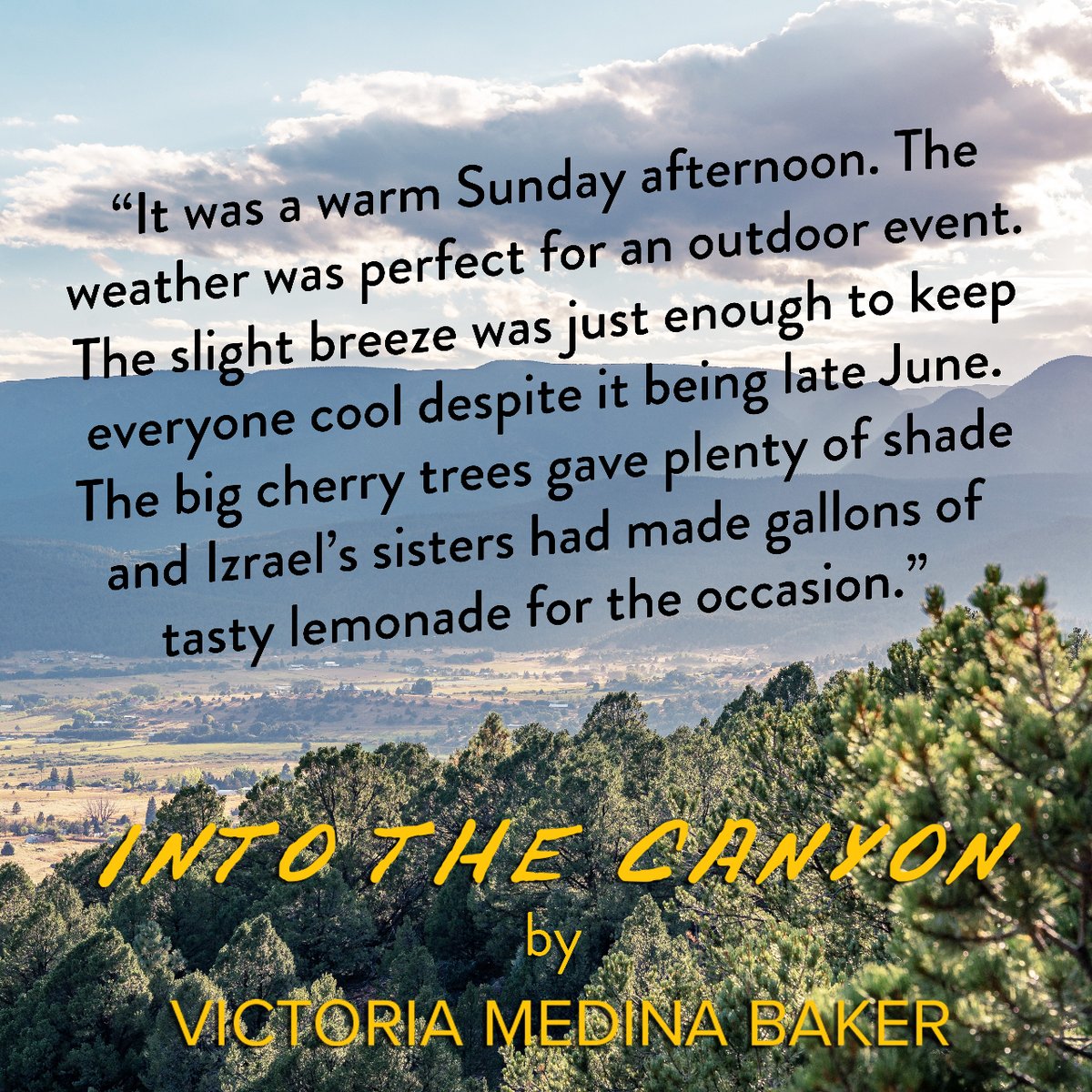 This quote leads up to a surprise baby shower by the Kammer family. If you haven't read Into the Canyon yet, visit en-spire.life to purchase a copy. Grab an extra for a X-mas gift.  #IntoTheCanyon #KammerFamilyTrilogy #VictoriaBakerAuthor #EnSpireLife #FictionNovel