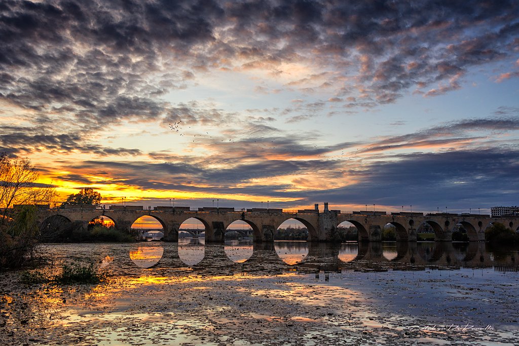 EstebanDePeral1's tweet photo. Otro de esos afortunados días en el que lo más difícil es elegir. Buenas noches. #Badajoz https://t.co/gt37gzpbPY
