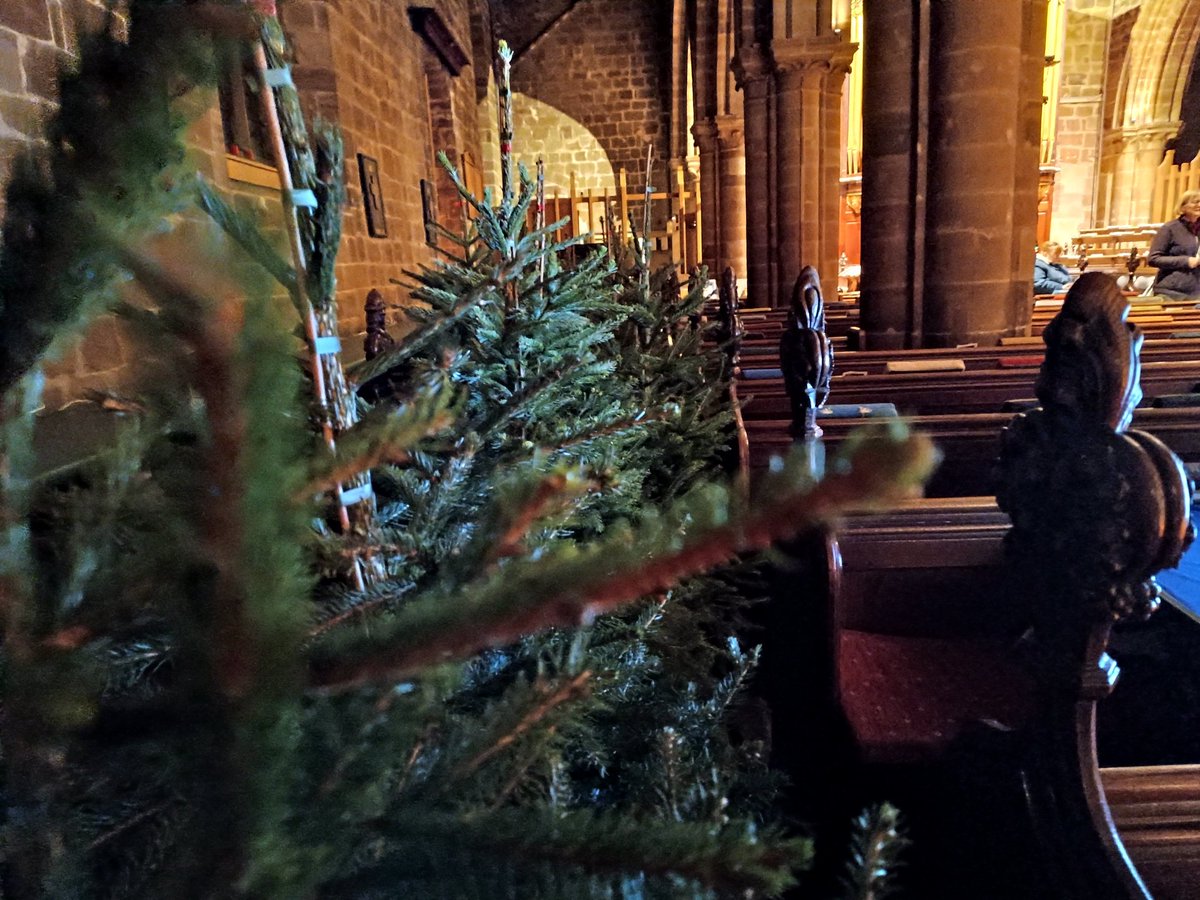 It's beginning to look like #Christmas #tree festival at S Mary's #Stafford. Opens to the public on Wednesday. <a href="/Lichfield_CofE/">Lichfield Diocese</a> <a href="/Staffordbc/">Stafford BC</a>